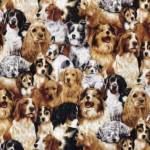 Tiere
