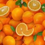 Obst und Gemüse