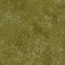 Spraytime Spruce