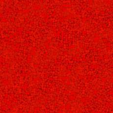 Brighton red