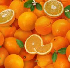 Fruitbasket orange