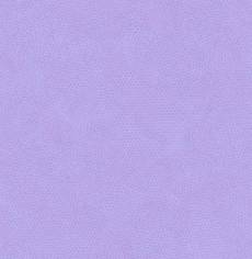 Dimple Viola