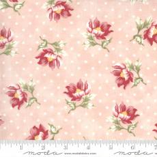 Sanctuary blush rose