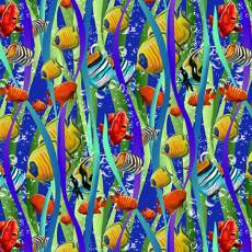 Reef Life Fish and Seaweed