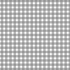 Farm Babies Gingham Checker