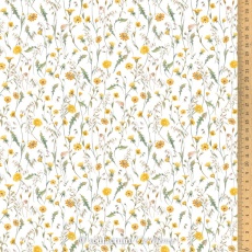 Acufactum  Wiesenblumen