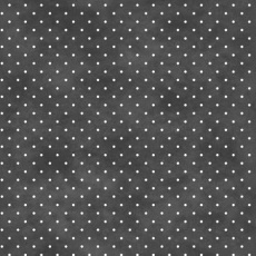 Maywood Flanell dots black white