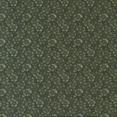 Kansas troubles chickadee green