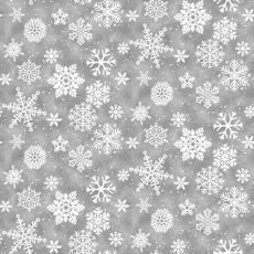 Snow crew grey