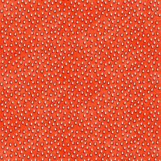 Fruit Ladies red