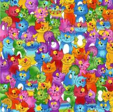  Crazy cats with wool