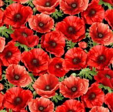 Large Poppy 