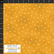 Renaissance yellow star