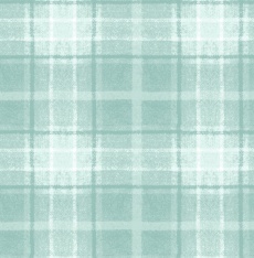 Snowtop Mountain Big Plaid aqua
