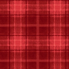 Snowtop Mountain Big Plaid red