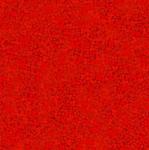 Brighton red