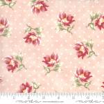 Sanctuary blush rose