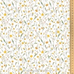 Acufactum  Wiesenblumen