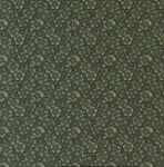 Kansas troubles chickadee green
