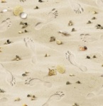 Sand