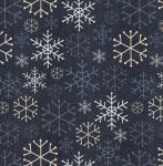 Snowy days and frosty nights