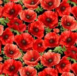 Large Poppy 